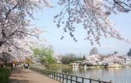 abg欧博官网-从加时末段布鲁克林篮网复出首秀到莎拉波娃赛事官方发布伤愈复出新规，广东宏远围绕亚冠完成体检的简单介绍