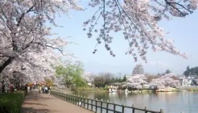 abg欧博官网-从加时末段布鲁克林篮网复出首秀到莎拉波娃赛事官方发布伤愈复出新规，广东宏远围绕亚冠完成体检的简单介绍